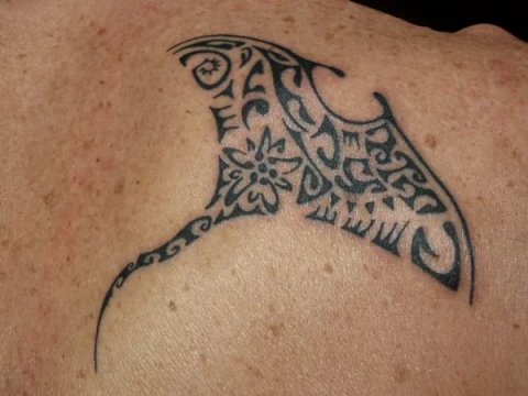 Mirko - Edelweiss manta: real inked placement tattoo photo thumbnail