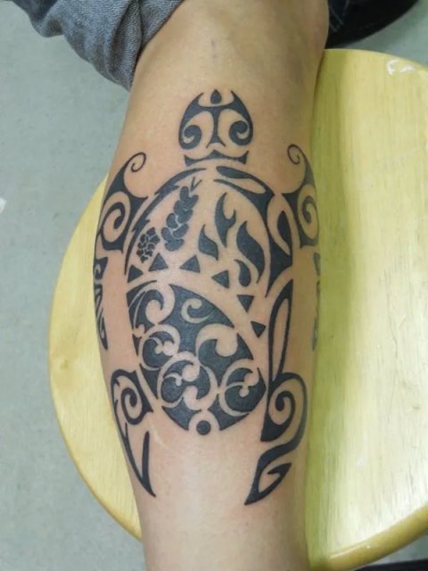 Nancy - Reese turtle: real inked placement tattoo photo thumbnail