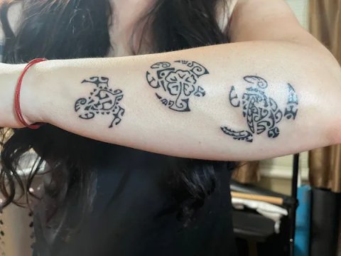 Nicole - 3 turtles: real inked placement tattoo photo thumbnail