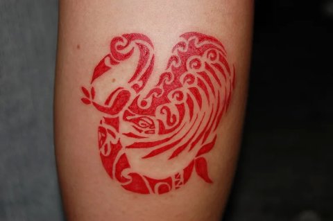 Owie - Manaakitanga: real inked placement tattoo photo thumbnail