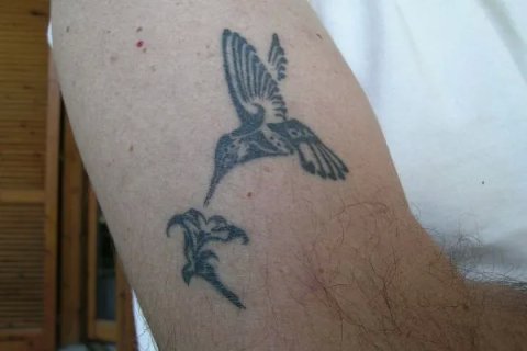 Paolo - Humming bird: real inked placement tattoo photo thumbnail