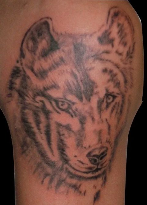 PapaChangoArt - Wolf: real inked placement tattoo photo thumbnail