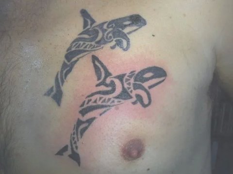 Paul - Killer whales: real inked placement tattoo photo thumbnail