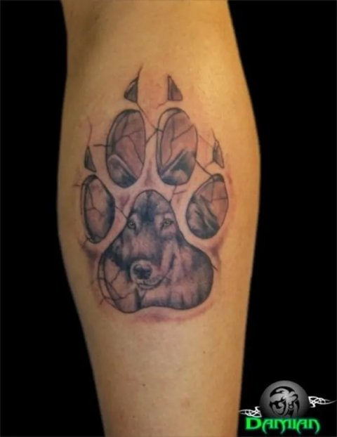 Peter - Wolf track: real inked placement tattoo photo thumbnail