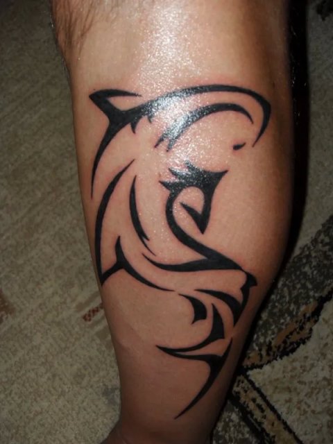 Piotr - Shark: real inked placement tattoo photo thumbnail