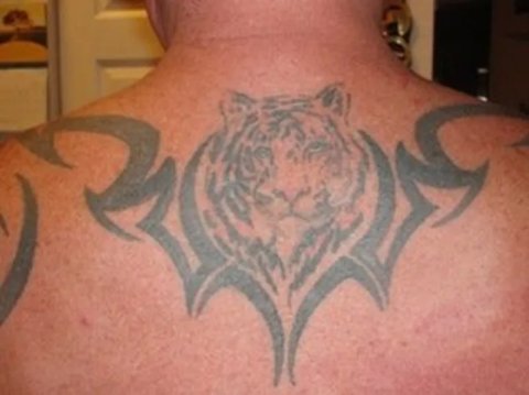 Randy - Tiger: real inked placement tattoo photo thumbnail