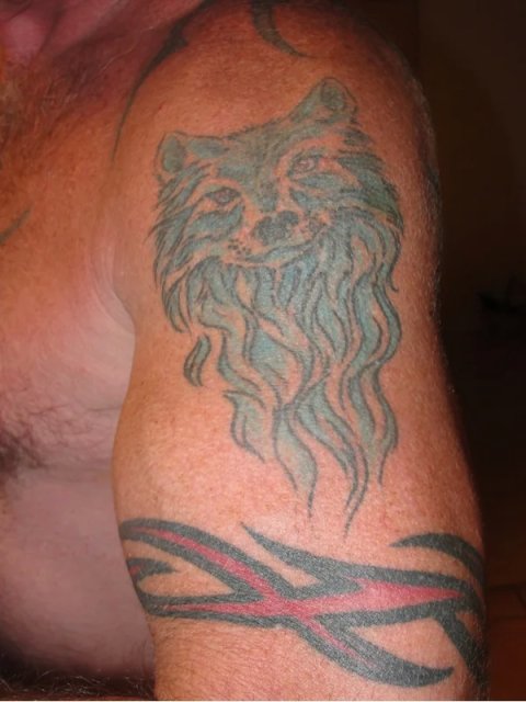 Randy - Wolf: real inked placement tattoo photo thumbnail