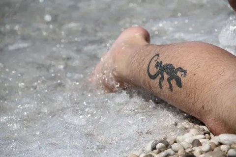 Rino - lizard: real inked placement tattoo photo thumbnail