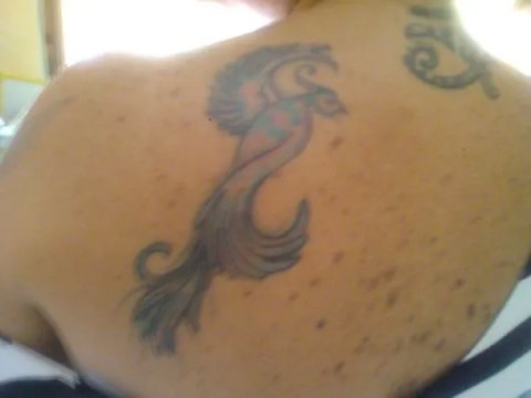 Rosaria - Phoenix: real inked placement tattoo photo thumbnail