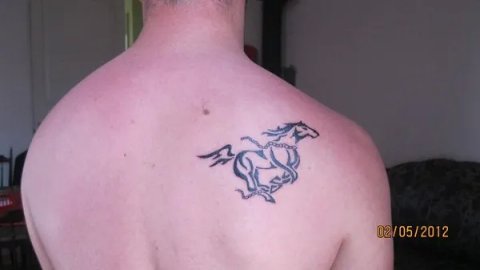 Salvo - Free horse: real inked placement tattoo photo thumbnail