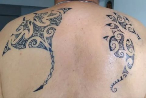 Shahab - Kirituhi seahorse: real inked placement tattoo photo thumbnail