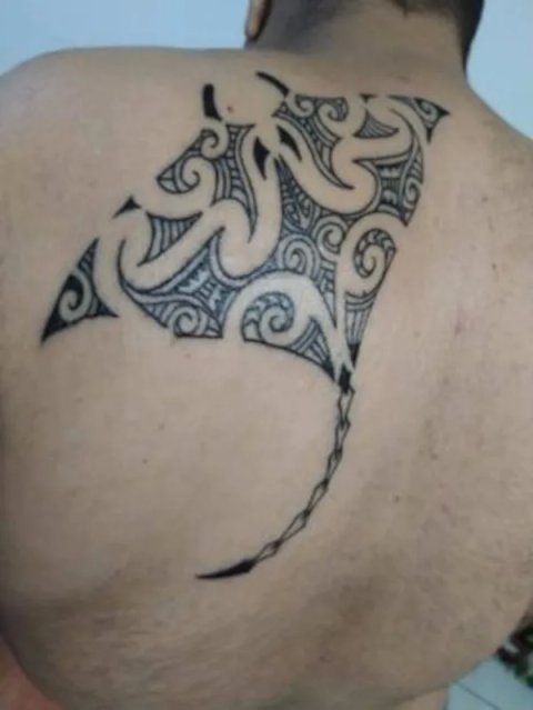 Shahab - Kirituhi manta: real inked placement tattoo photo thumbnail