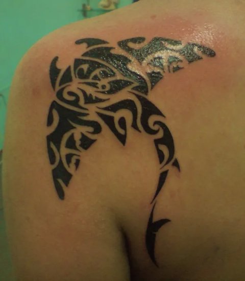 Sina - Manta Shark: real inked placement tattoo photo thumbnail