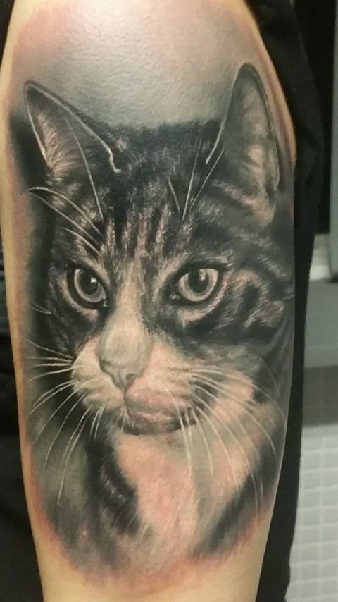 Sonja - Cat: real inked placement tattoo photo thumbnail