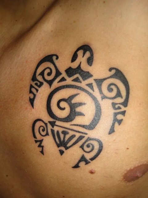 Stefano - FAMS turtle: real inked placement tattoo photo thumbnail