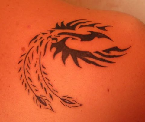 Stefano - Phoenix: real inked placement tattoo photo thumbnail
