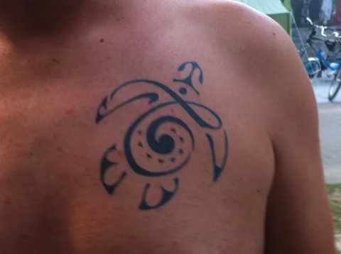 Stefano - T turtle: real inked placement tattoo photo thumbnail