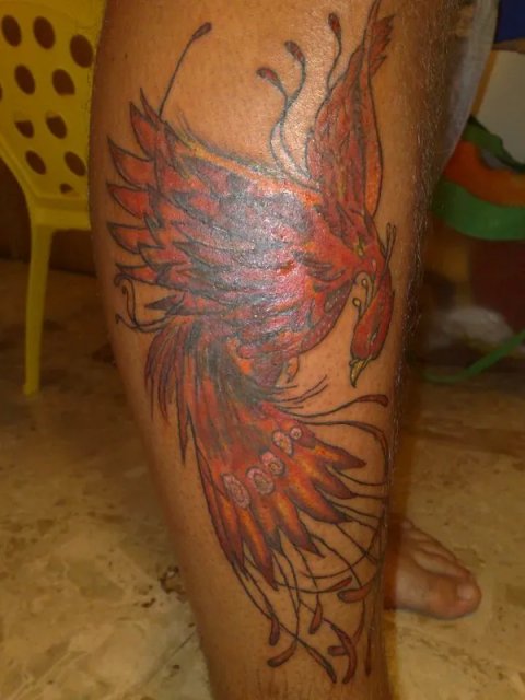 Tattoo H2O - Phoenix: real inked placement tattoo photo thumbnail