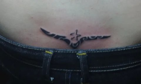 Thao - Seagull & star: real inked placement tattoo photo thumbnail