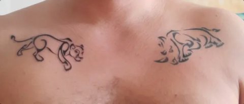 Ugo - Lioness: real inked placement tattoo photo thumbnail