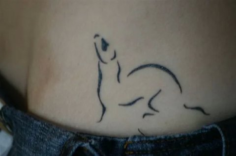 Viviana - ferret: real inked placement tattoo photo thumbnail