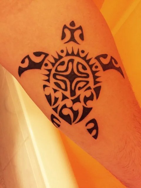 Vivienne - VIVO turtle: real inked placement tattoo photo thumbnail
