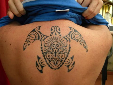Guest - Toa turtle: real inked placement tattoo photo thumbnail