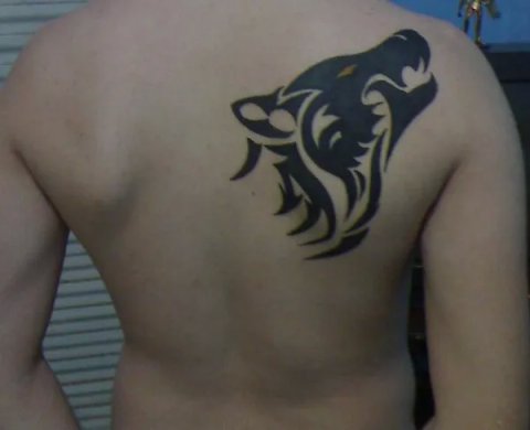 Jorge - Tribal wolf: real inked placement tattoo photo thumbnail