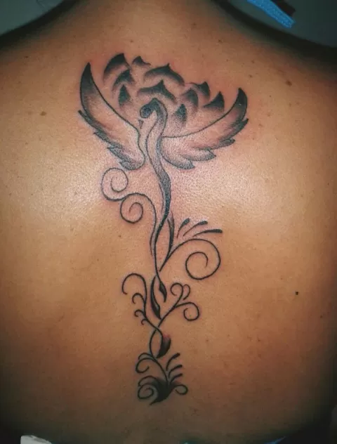 Yaxili - phoenix and lotus
