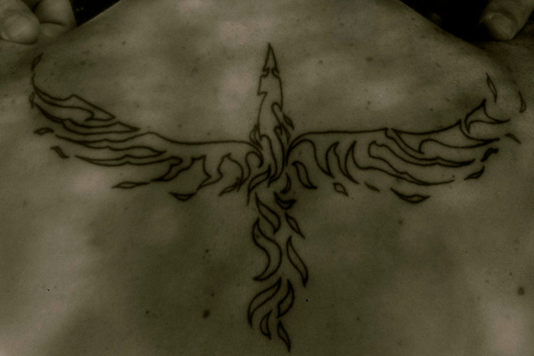 Marco - tribal phoenix tattoo